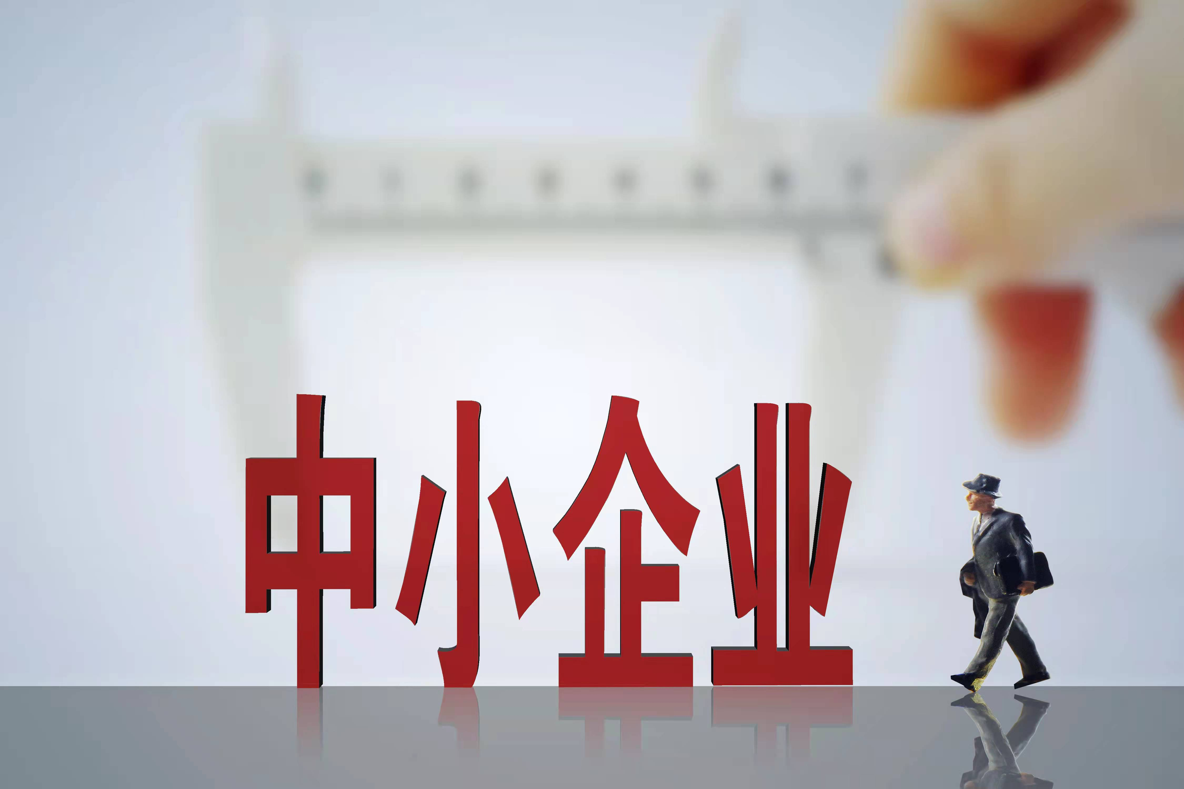 2024-2025新澳门正版精准资料大全|精选解释解析落实