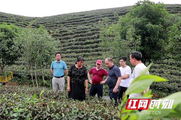 快评 第356页