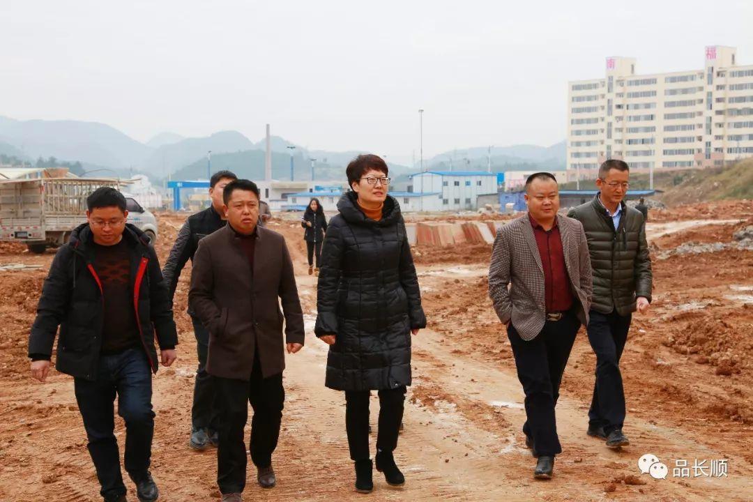 贵州省广顺镇最新消息
