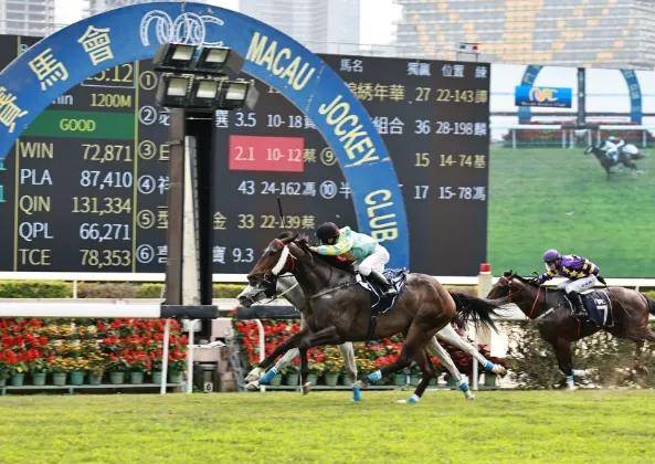 2025香港今期开奖号码马会