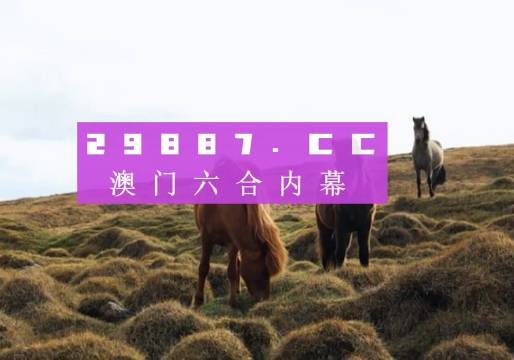 新澳门今晚开特马开奖