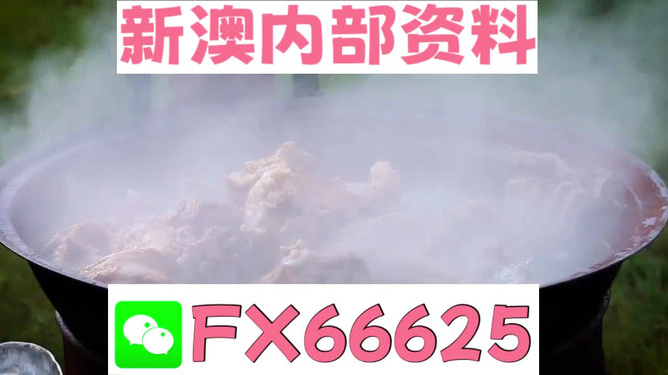 新澳正版全年免费资料公开