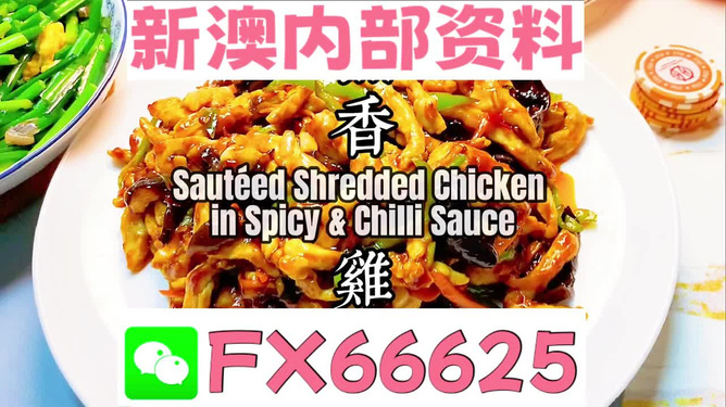 新奥精准资料免费提供