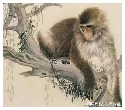 四不像今晚出什么生肖