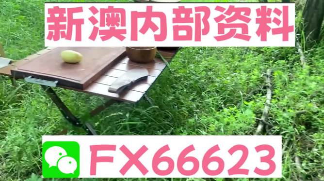 精准一码免费资料大全