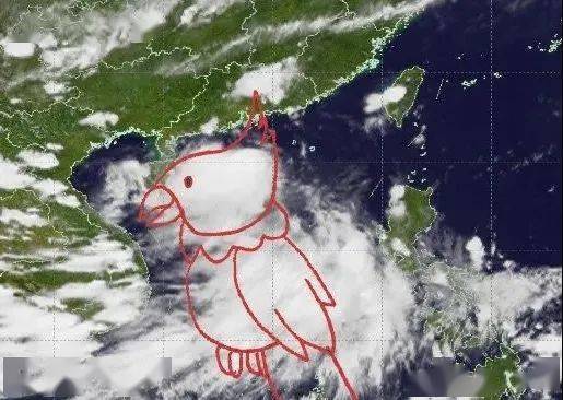 澳门最精准正最精准龙门蚕