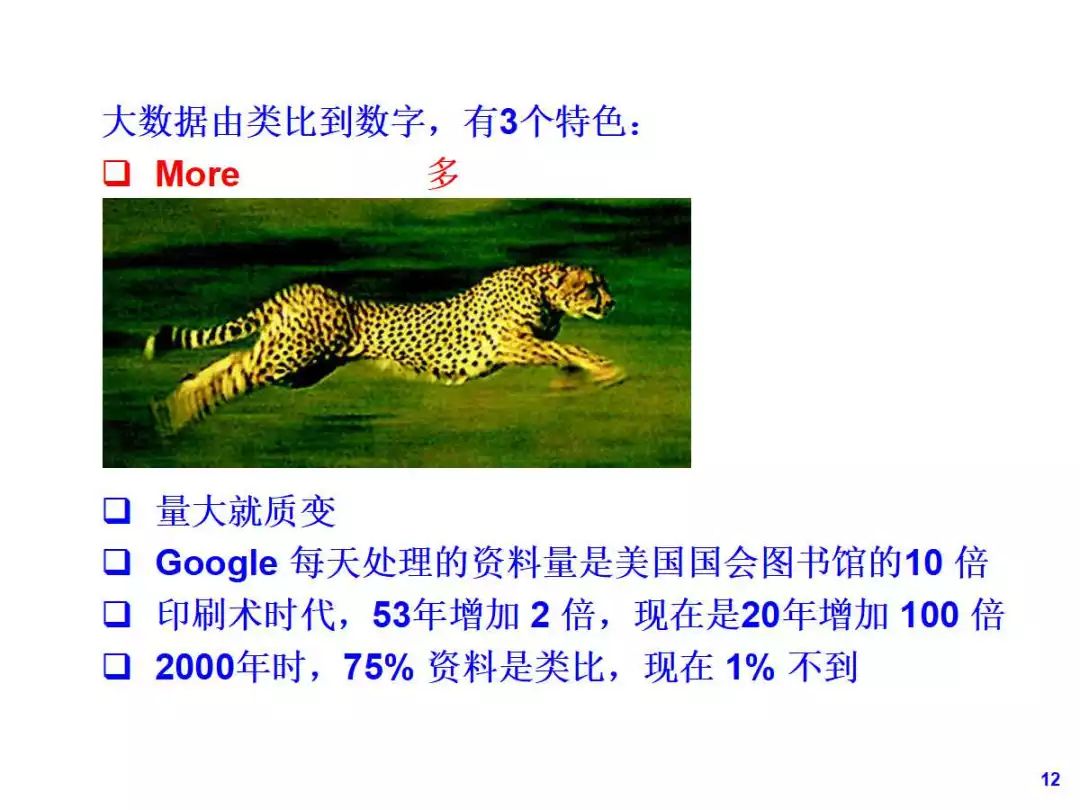 澳门四不像精解图2025
