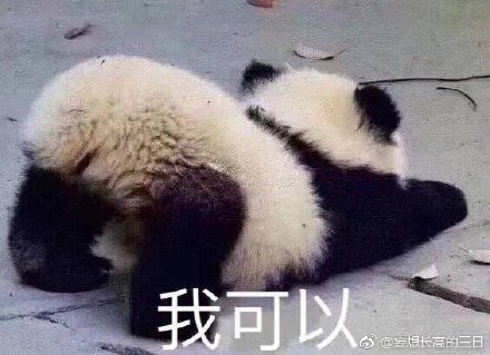 澳门今晚开正版四不像