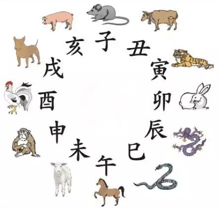 十二生肖与2025年之49个码