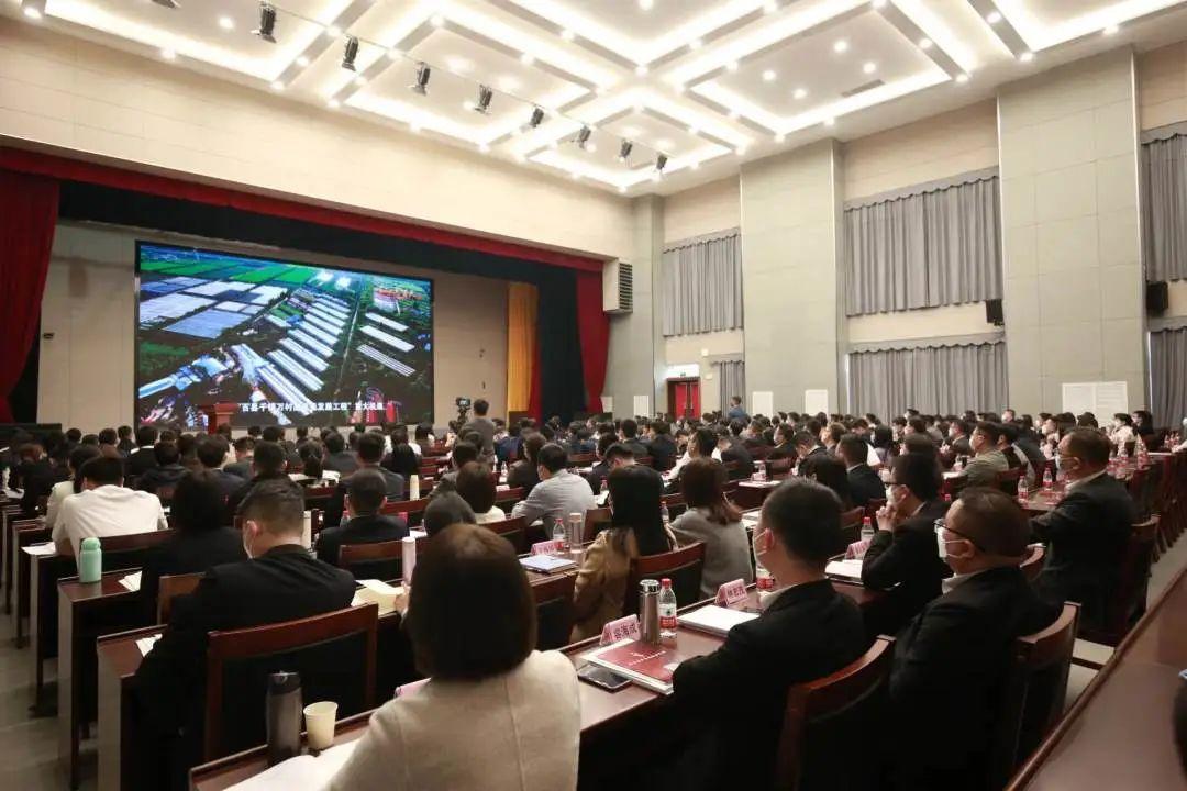 澳门六开奖结果2025开奖今晚