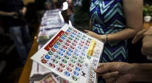 四肖期期期准四肖中特使用方法