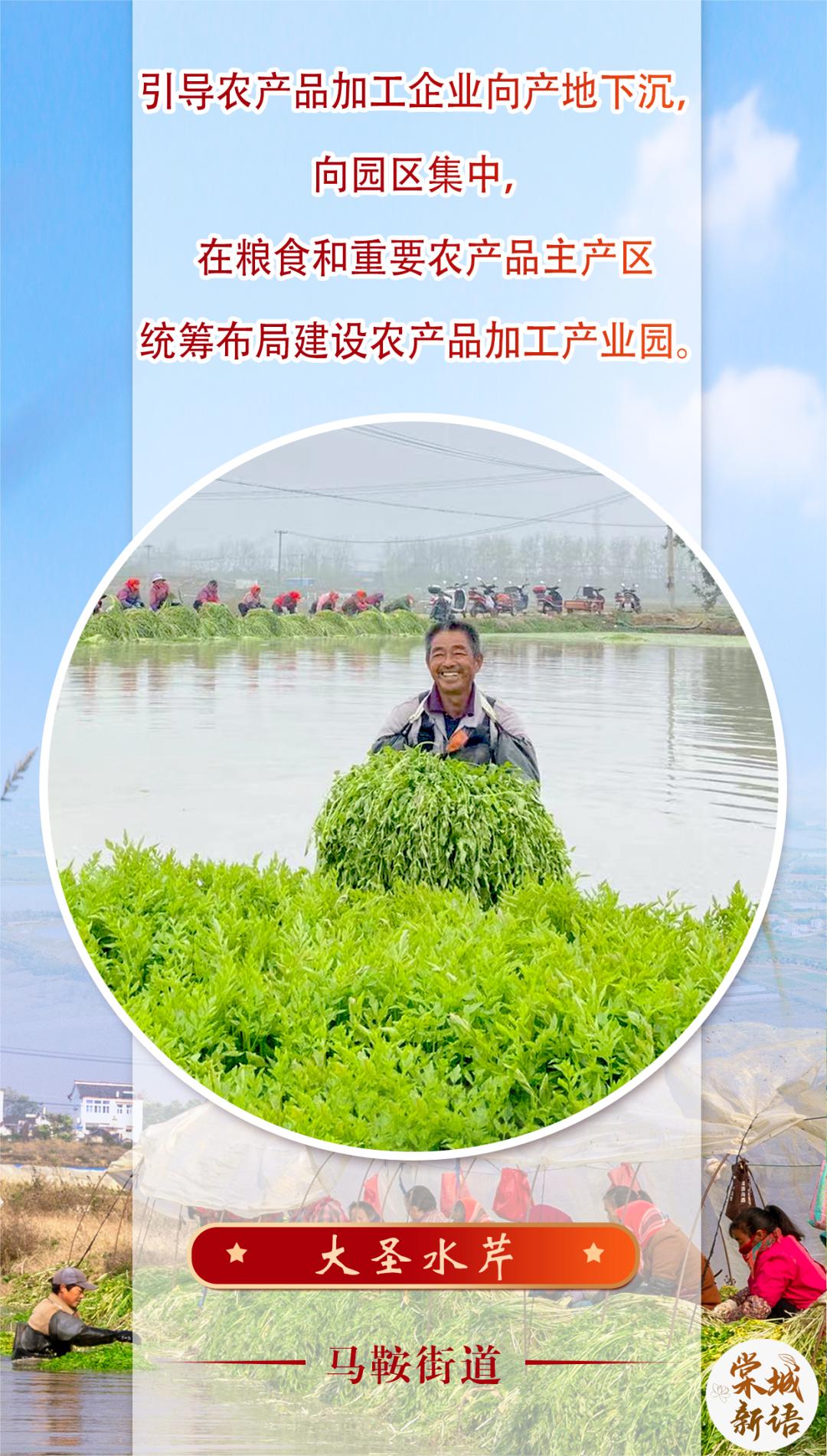 2023澳门六开天天彩特色