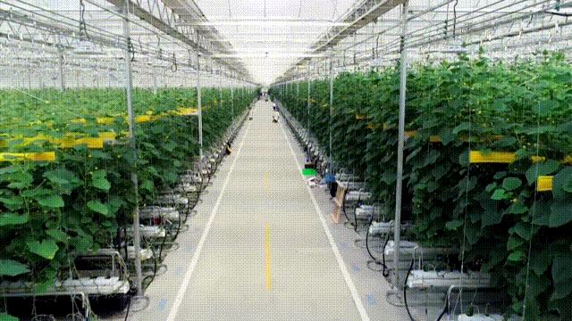 2025年资料免费大全优势优势