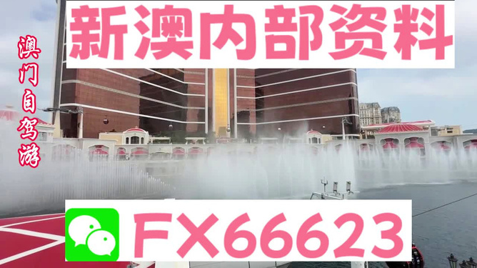 2025新奥资料免费精准,揭秘