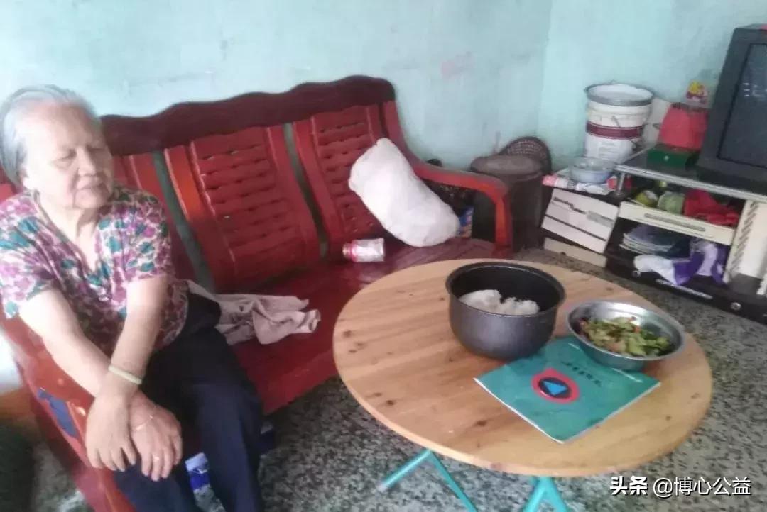 天天好采免费资料大全