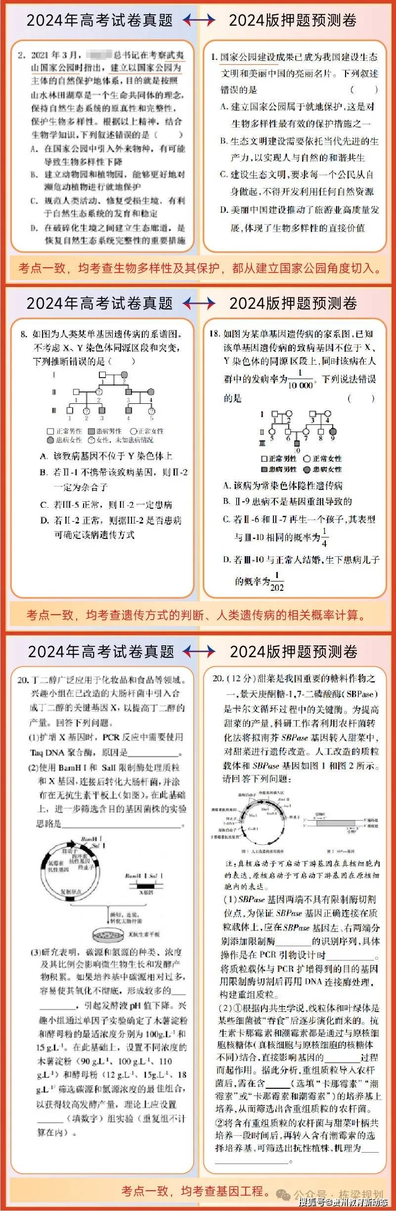 2025王中王精准资料