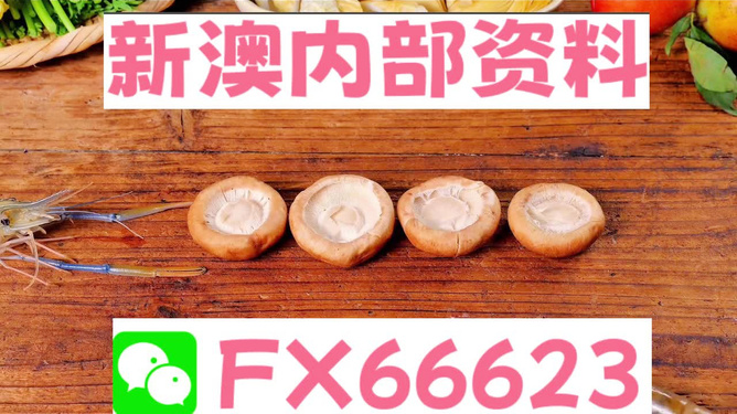 新澳正版全年免费资料公开