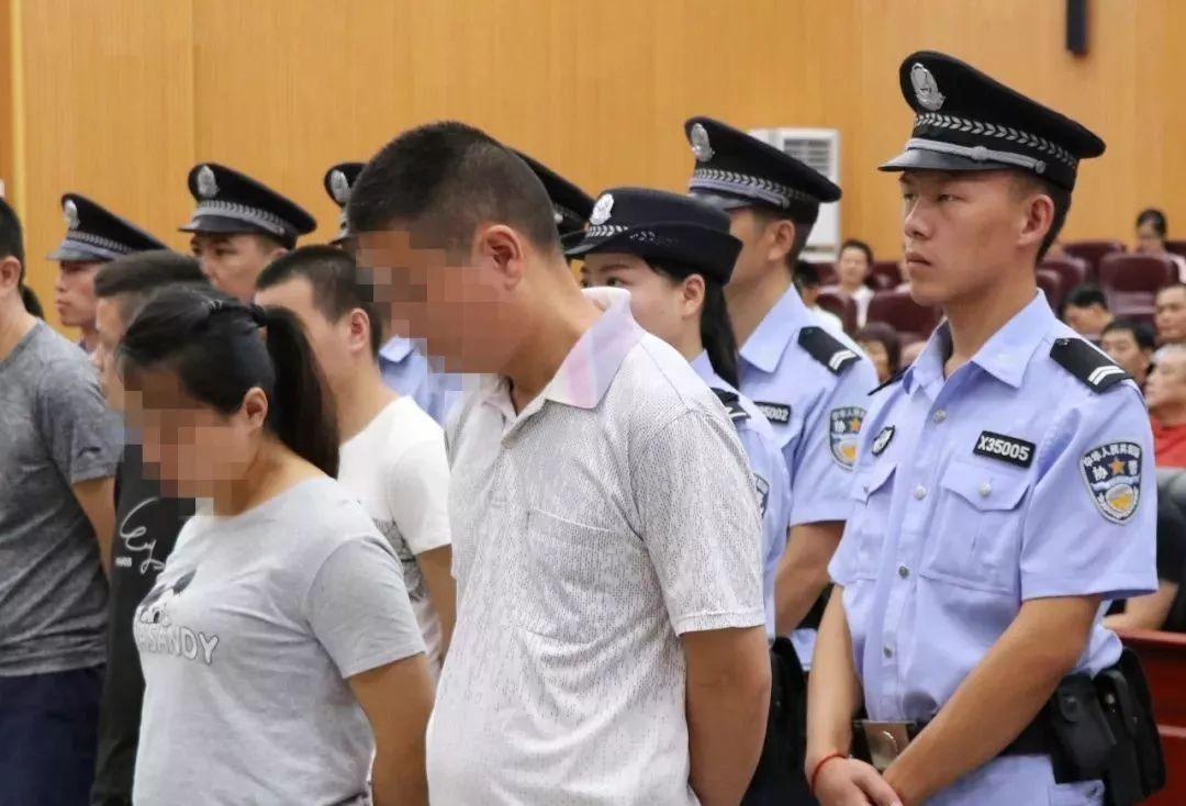 香港精准特马免费资料