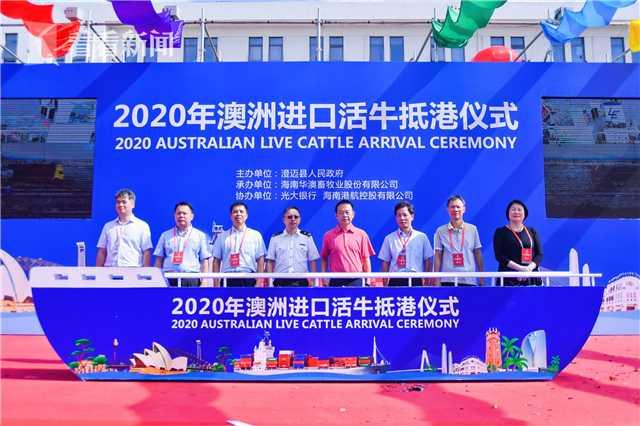 2025年全年资料