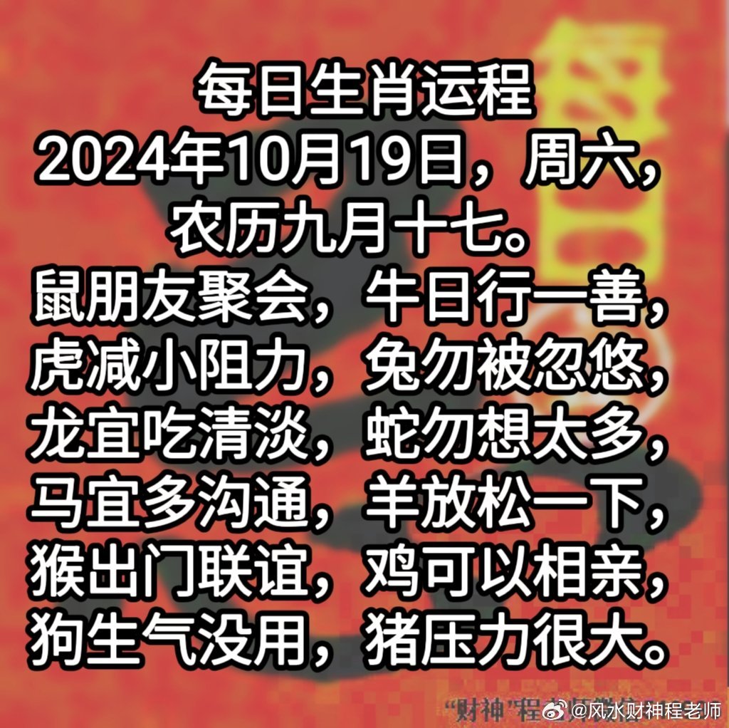 今晚买什么生肖最准确