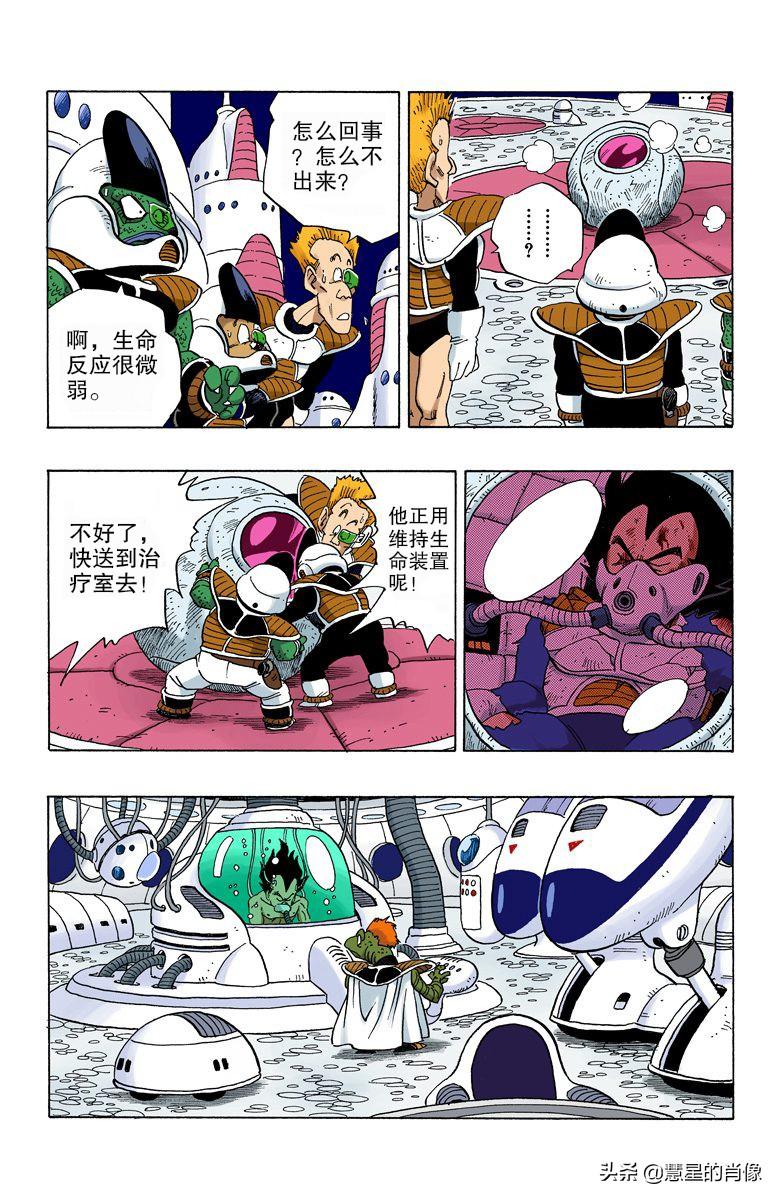 二四六天天彩资料大全网最新