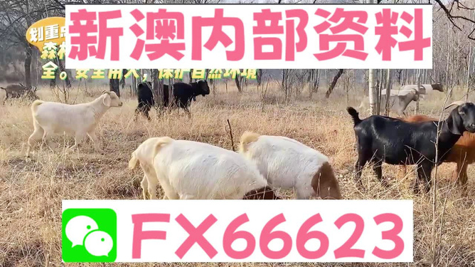 2025新澳今晚资料四不像图