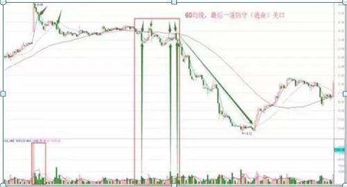最准一码一肖100%准确