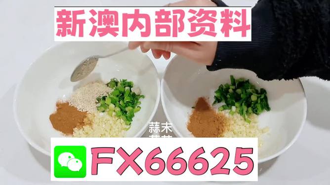 正版资料免费资料大全九点半