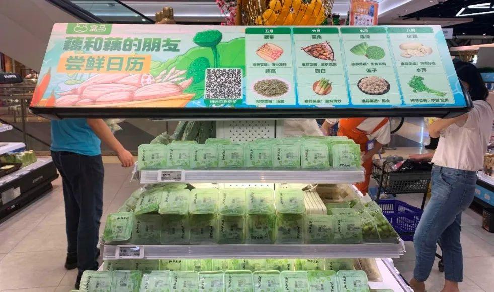 水果奶奶二论坛资料