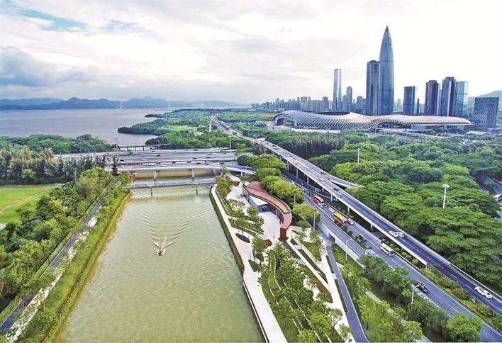 2025新臭精准资料大全