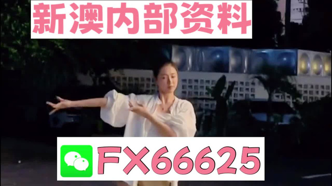 新澳600资料