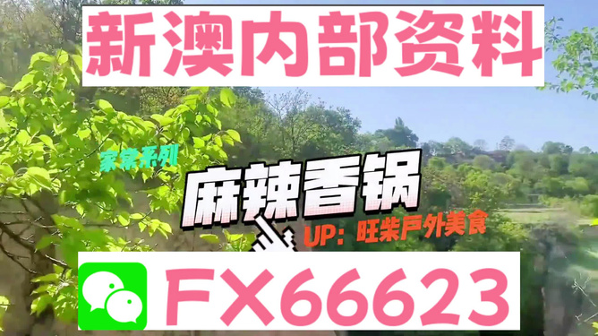 新澳精准资料免费提供219期