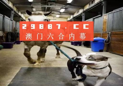 澳门必开一肖一码一中