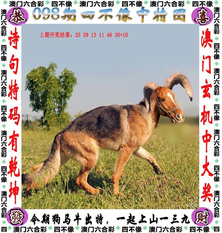 四不像正版免费资料查询