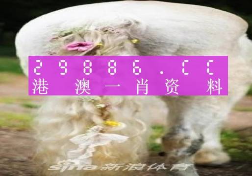 澳门一肖一码准选一码2023年