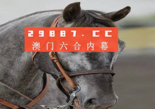 澳门一肖一码一特一中云骑士