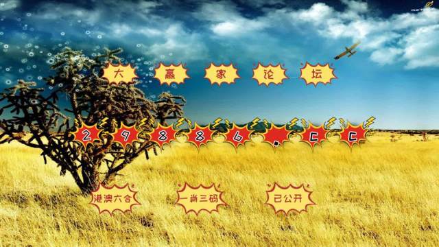 4949澳门彩开奖结果
