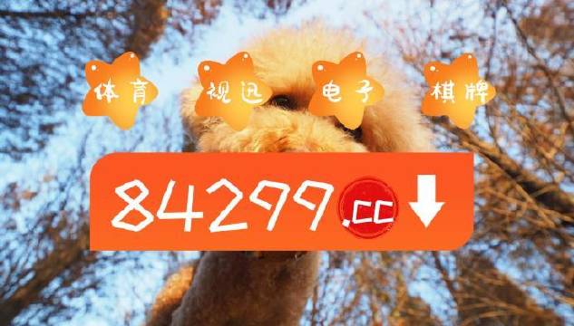 资讯 第21页