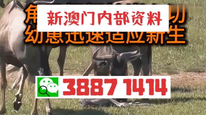今晚澳门三肖三码开一码