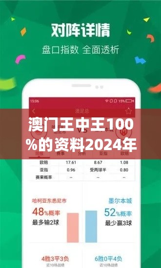 2025年新澳门王中王免费