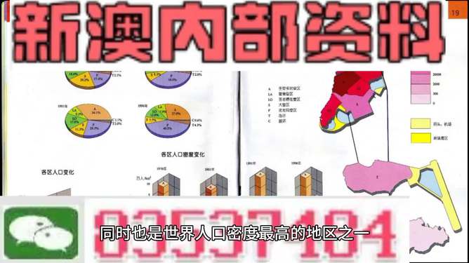 探索新澳正版资料